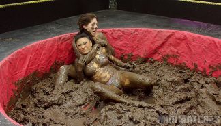 Pinned in Mud
